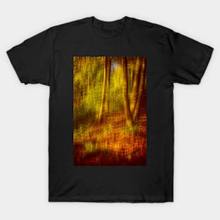 Impressions of Autumn T-Shirt